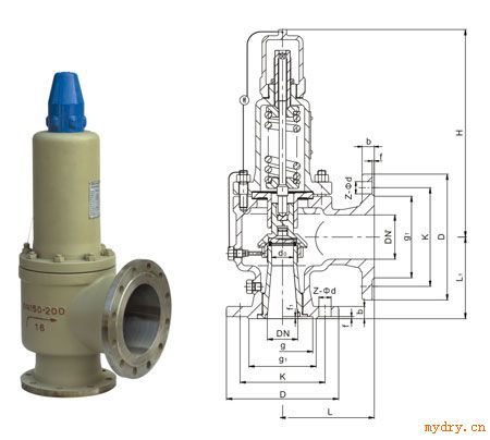 A42Y-320C高压釜专用安全阀 