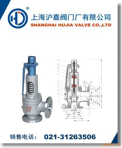蒸汽安全阀,进口蒸汽安全阀