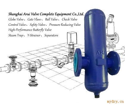 DN15-DN400挡板式汽水分离器