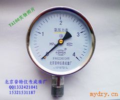 YA100氨压力表