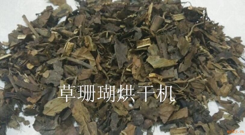 易立诺YK-145RD草珊瑚烘干机